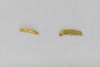 Gold wirework