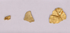 Gold Scrap